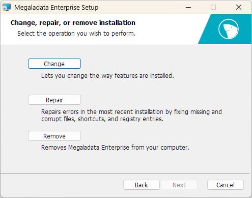 Megaladata installer window